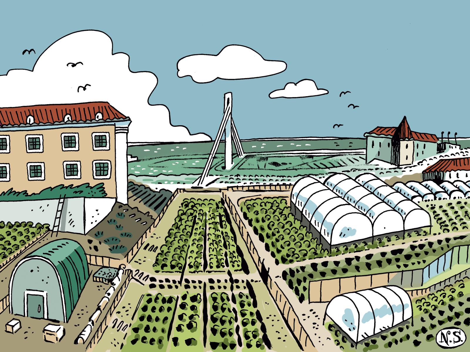 horta