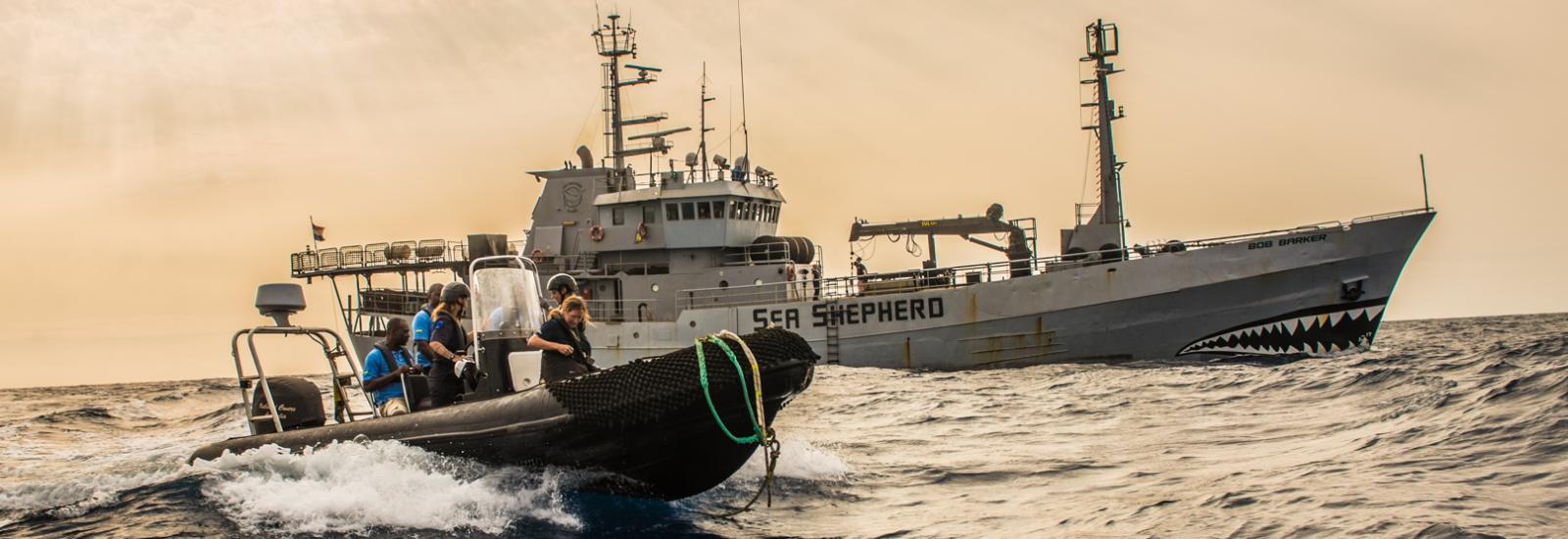 Sea Shepherd 