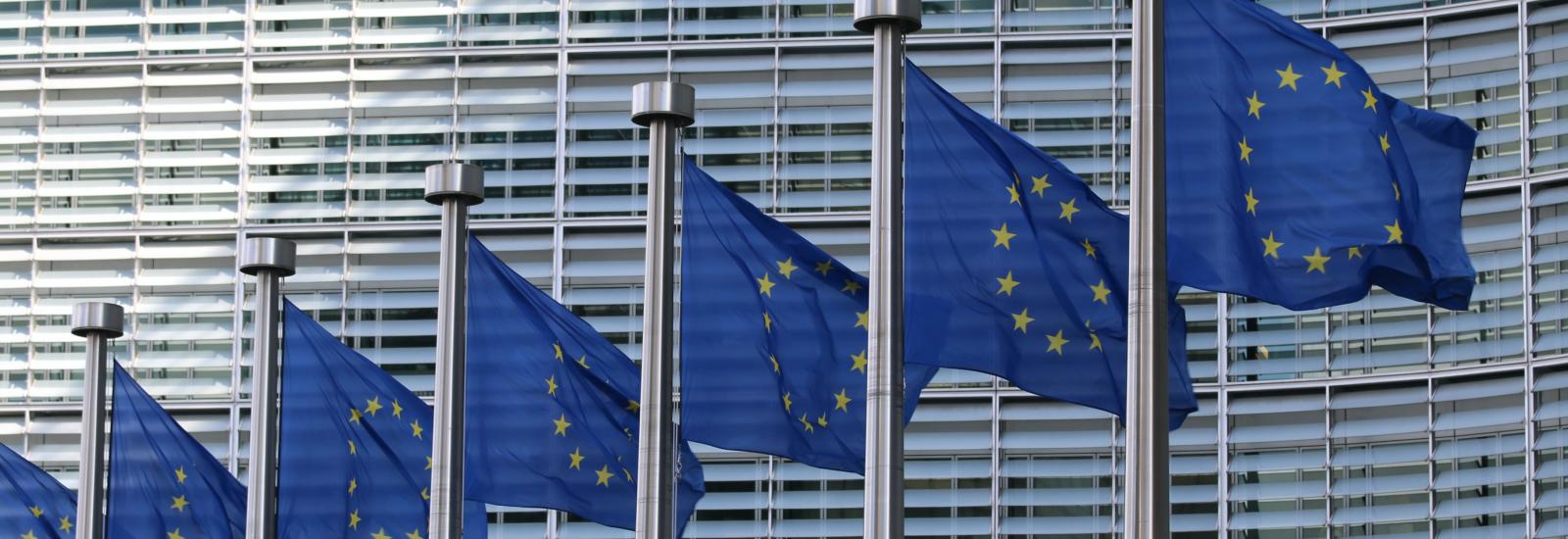 Comissão Europeia