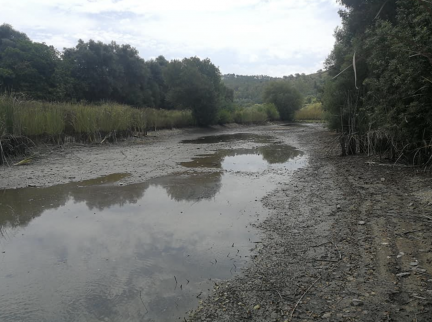 Rio Mira