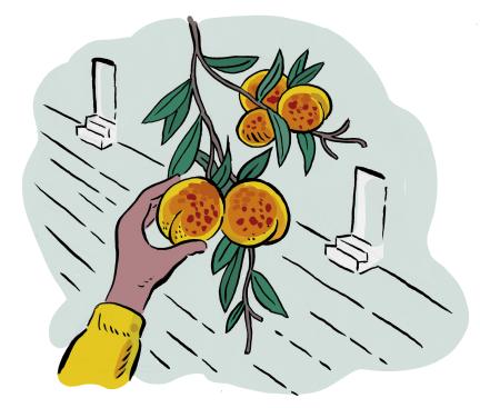 Ilustração '42